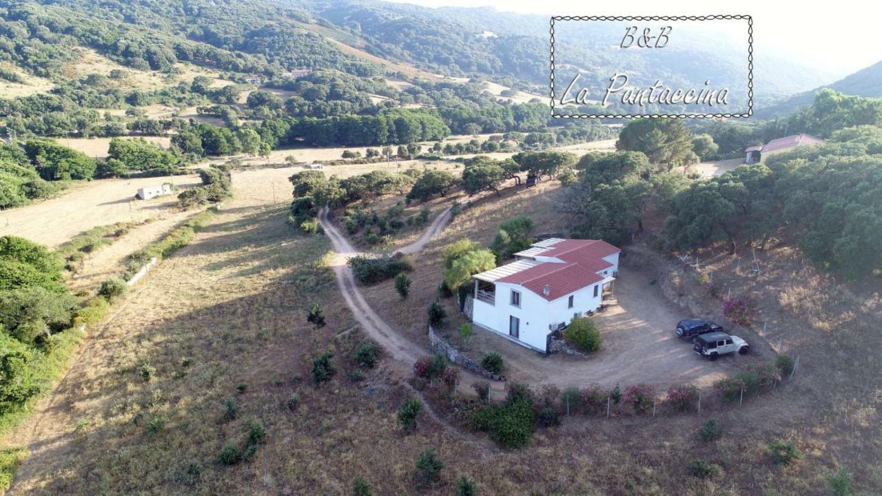 La Puntaccina Aglientu Exterior foto